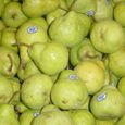 Dsc02344